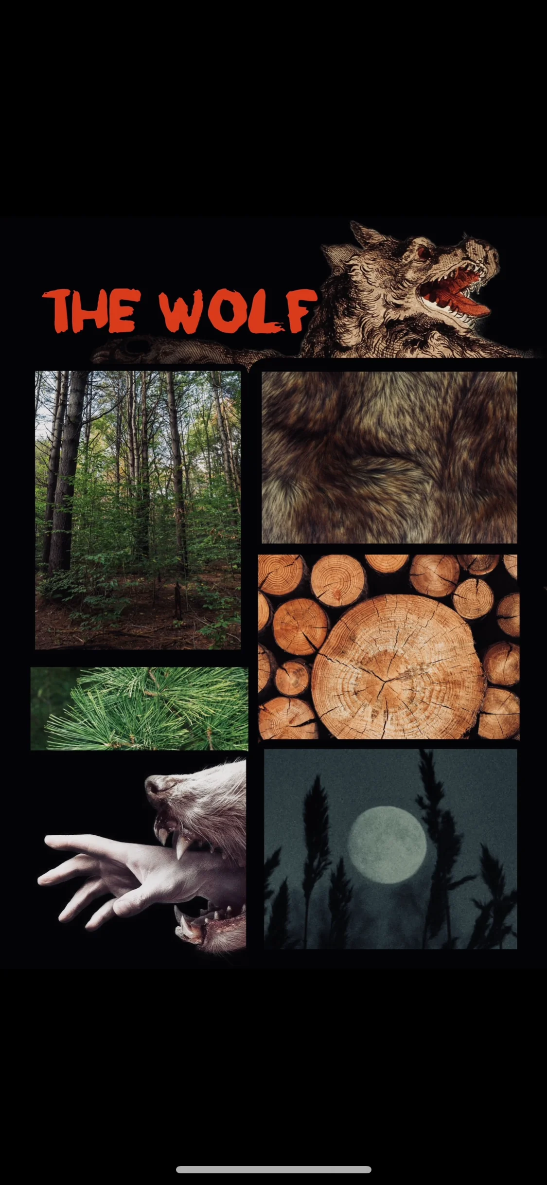 Thumbnail 14
